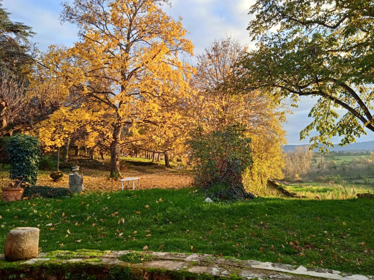 Maison Calme Avec Piscine Entouree De Son Parc Quintenas Exteriör bild
