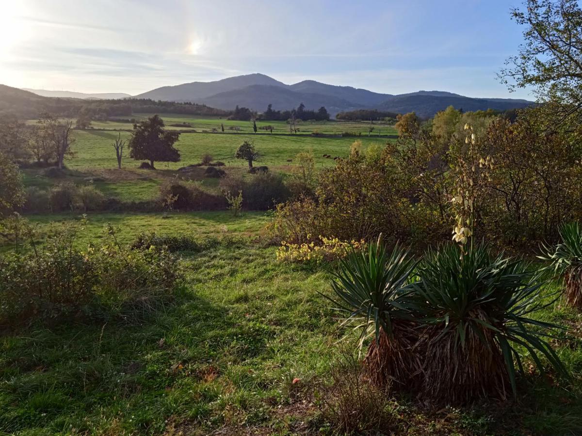 Maison Calme Avec Piscine Entouree De Son Parc Quintenas Exteriör bild
