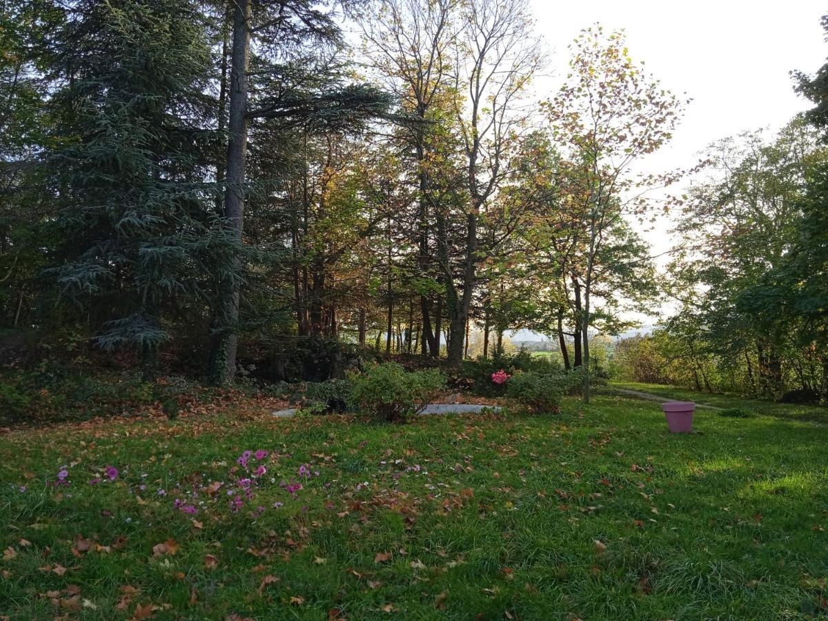 Maison Calme Avec Piscine Entouree De Son Parc Quintenas Exteriör bild